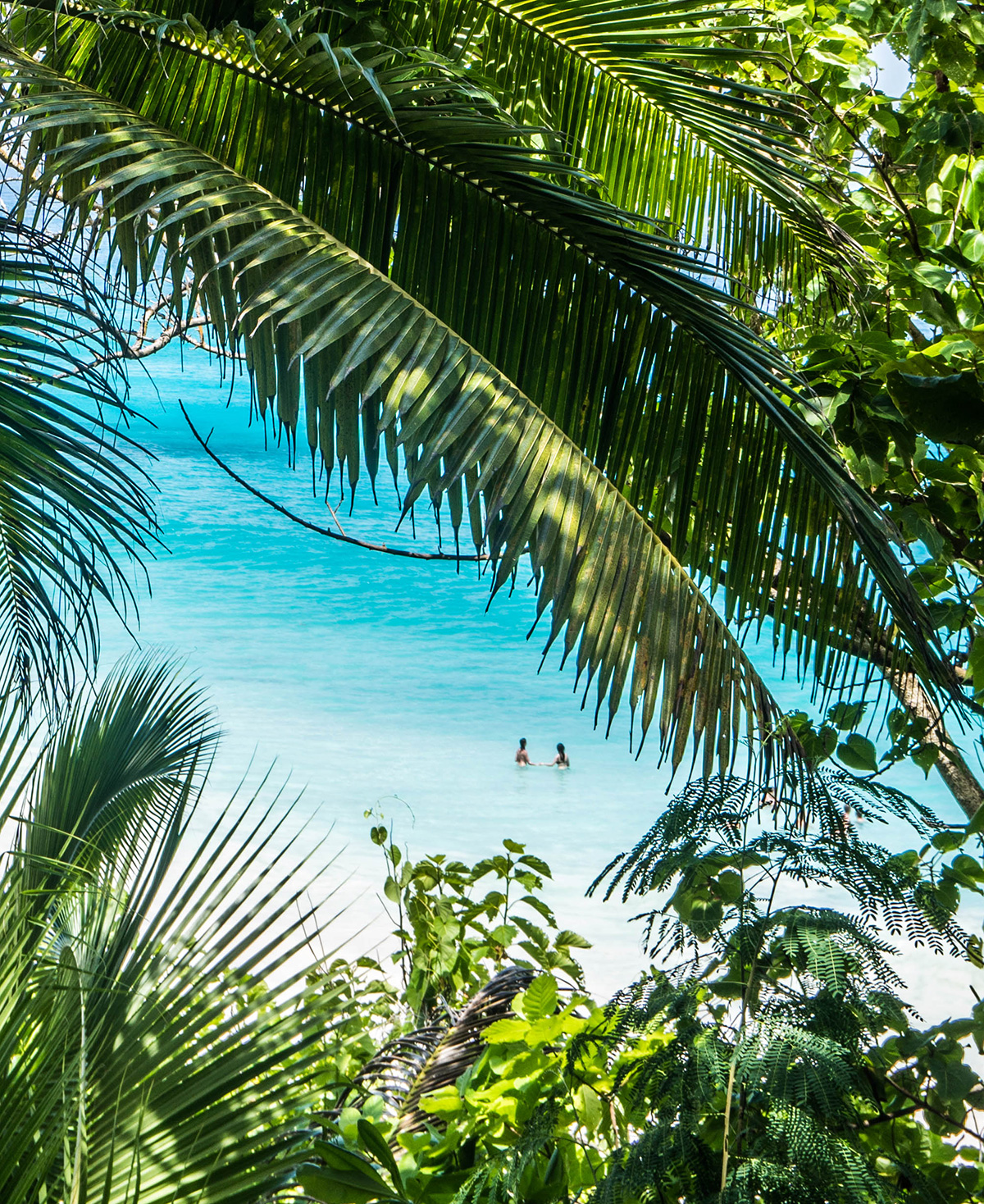 The Seychelles Islands