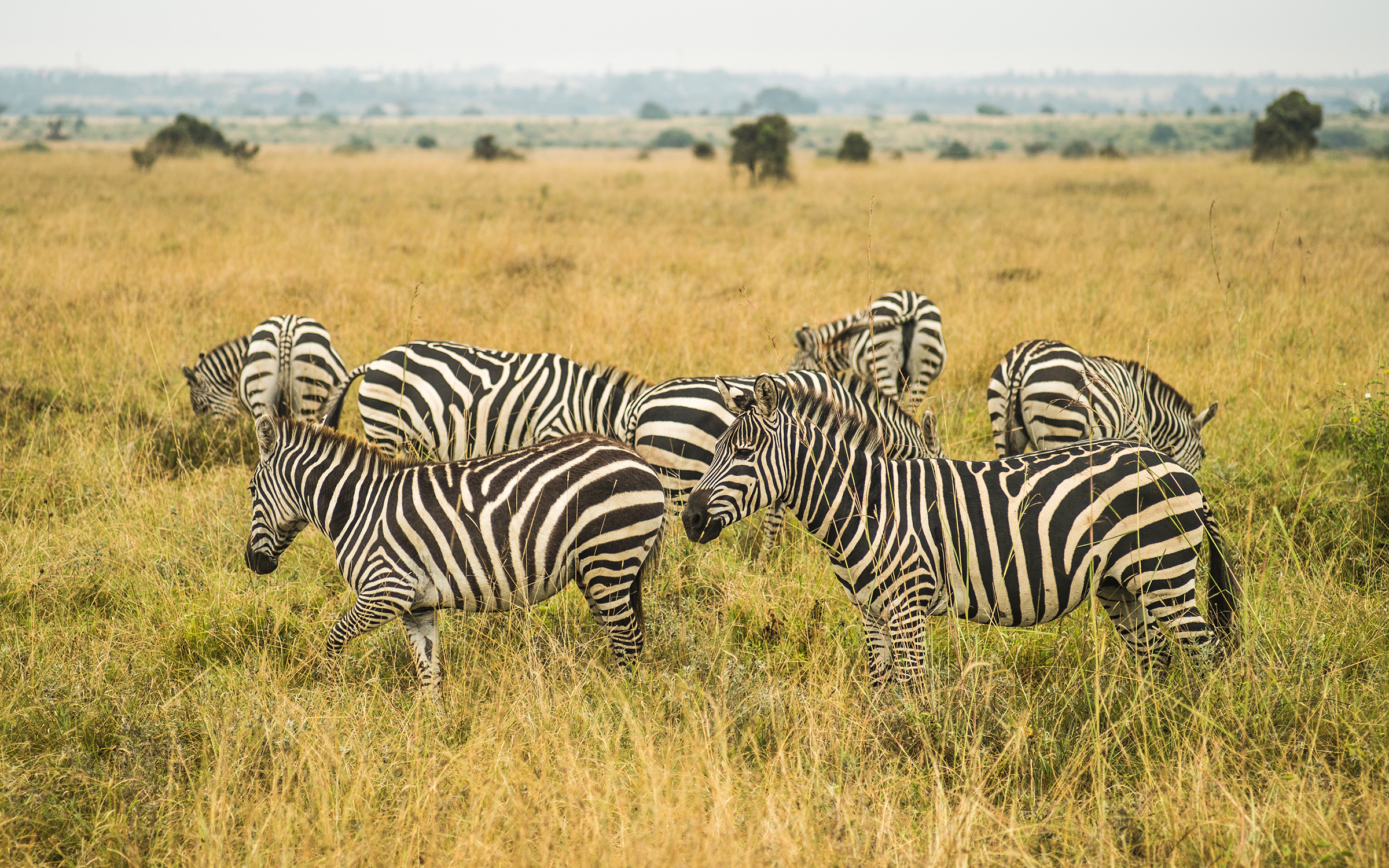 Four Points by Sheraton, Nairobi Airport