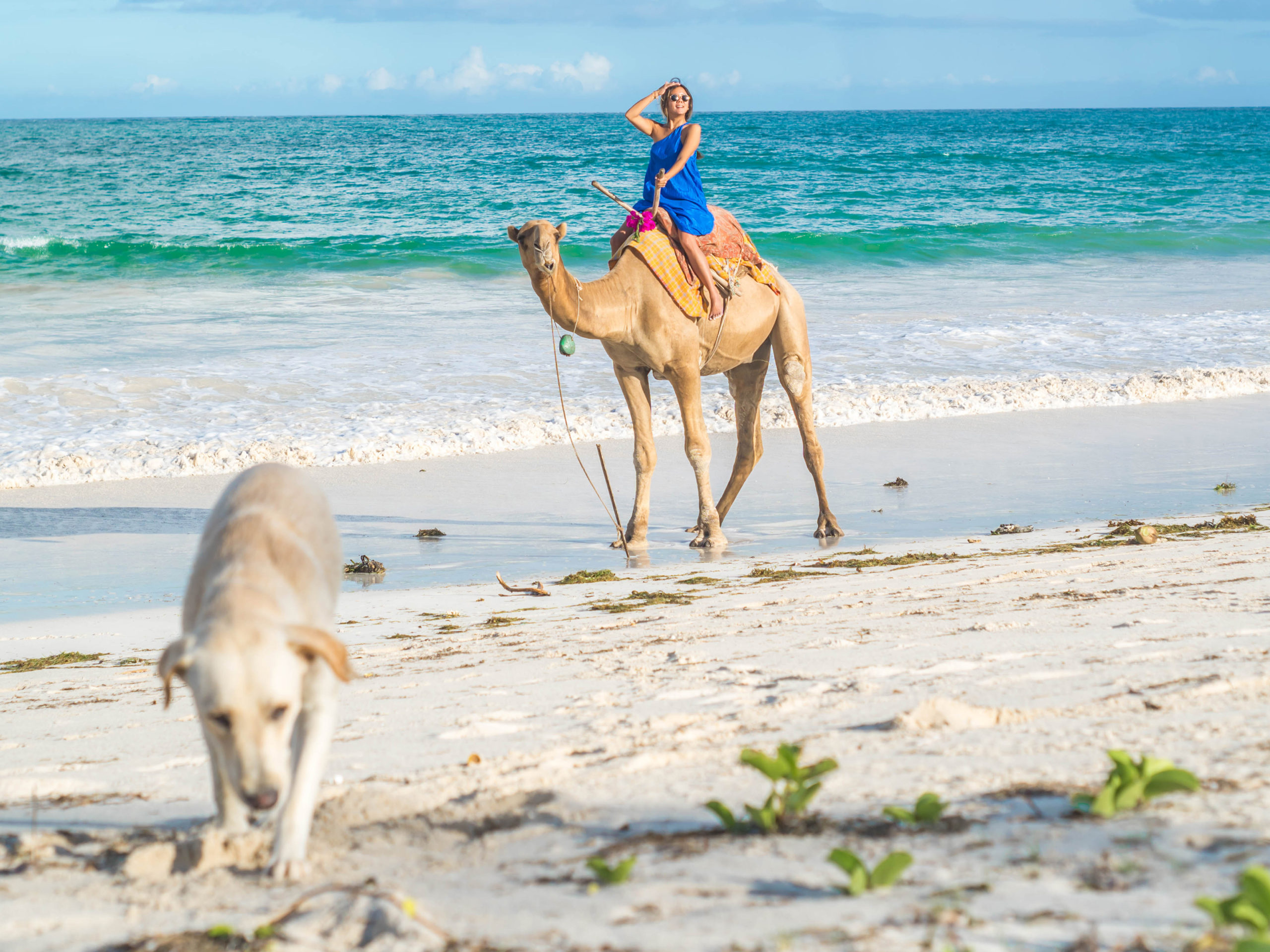 Marula House On The Beach, Kenya